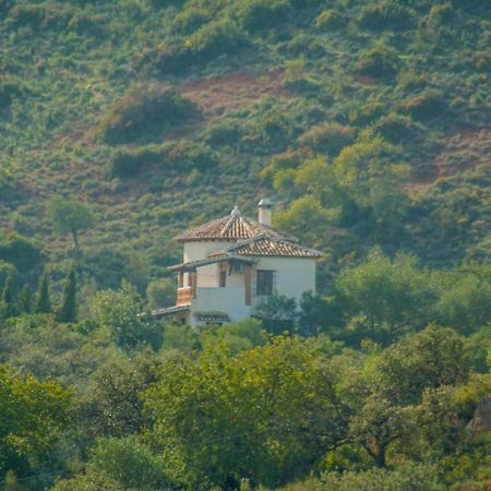 Villa La Torre Rocabella 埃尔乔罗 外观 照片