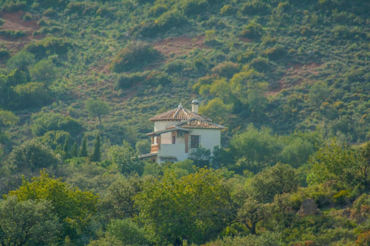 Villa La Torre Rocabella 埃尔乔罗 外观 照片